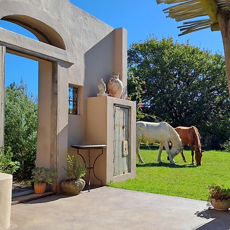 Akasha Mountain Retreat, New Location Βίλα Heidelberg  Εξωτερικό φωτογραφία