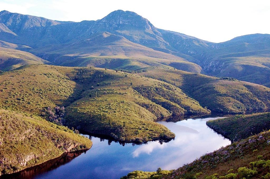 Akasha Mountain Retreat, New Location Βίλα Heidelberg  Εξωτερικό φωτογραφία